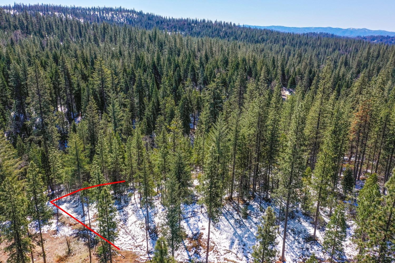 3488 Moran Road Arnold, CA 95223 - Photo 6 of 27 a view of a lush green forest with lots of trees