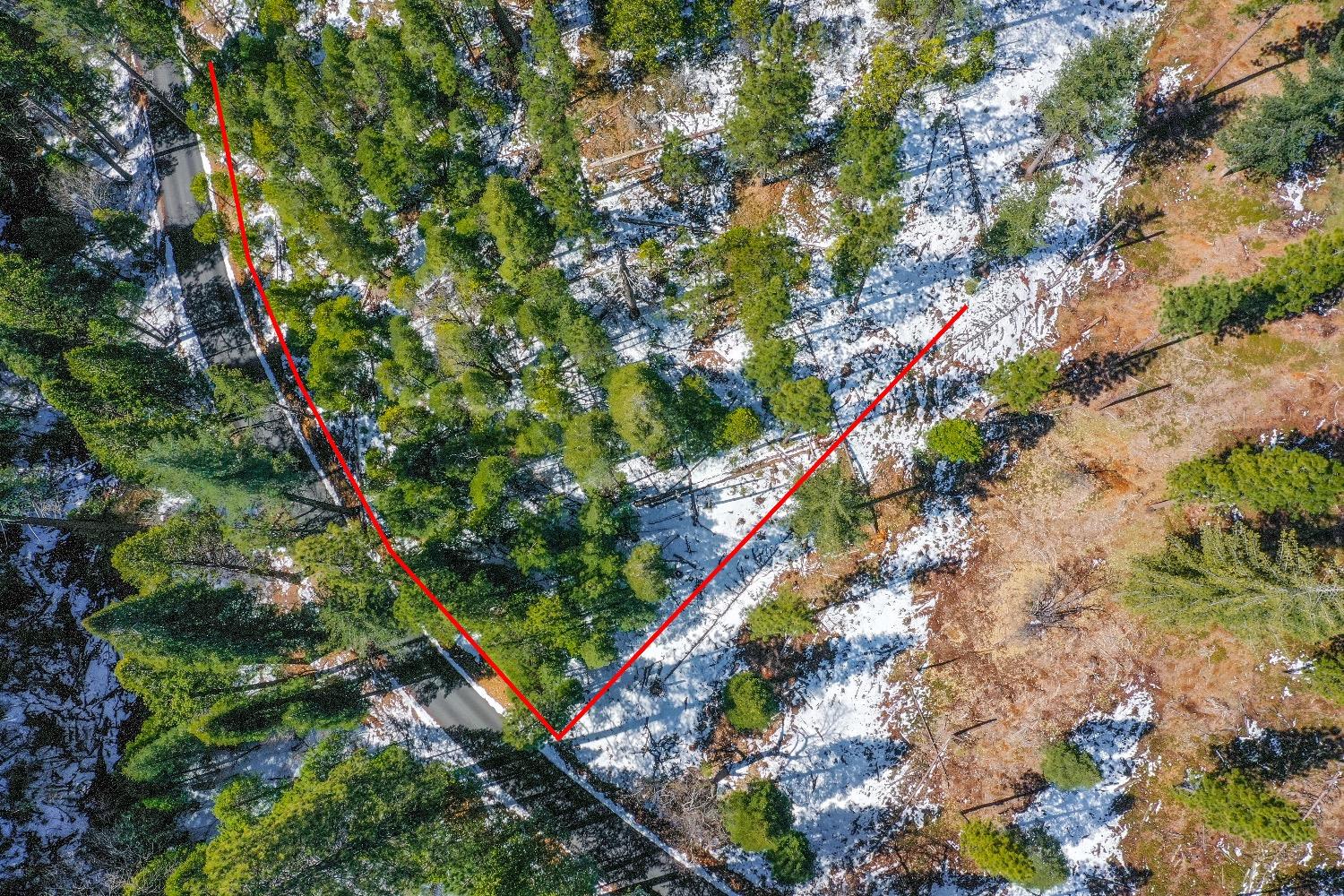 3488 Moran Road Arnold, CA 95223 - Photo 7 of 27 a picture of flowers