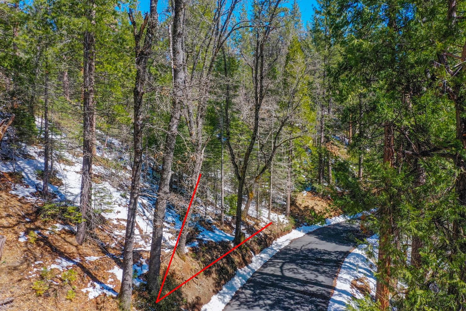 3488 Moran Road Arnold, CA 95223 - Photo 8 of 27 a view of a forest