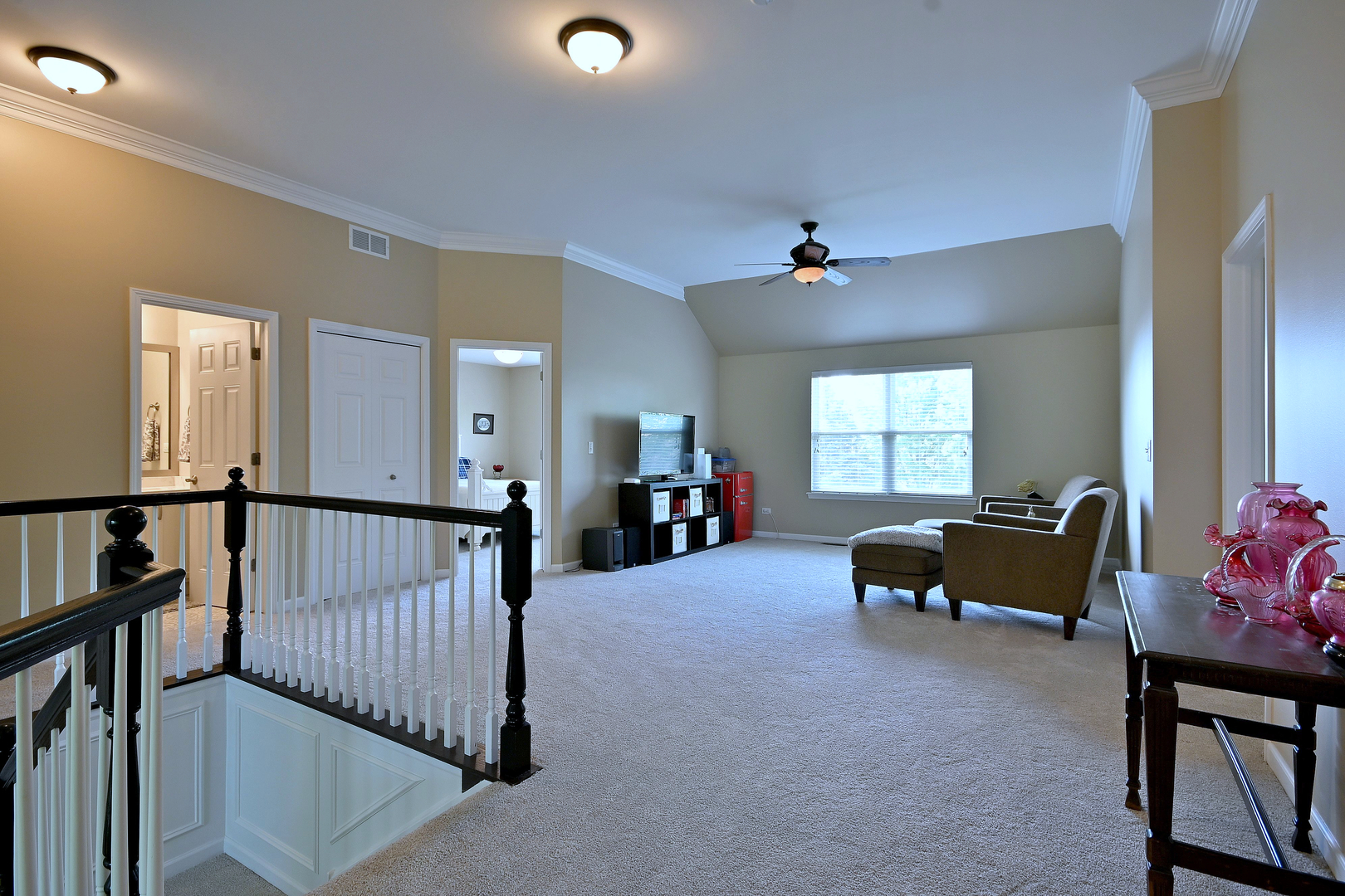 13464 Skyline Drive Plainfield, IL 60585 - Photo 23 of 41