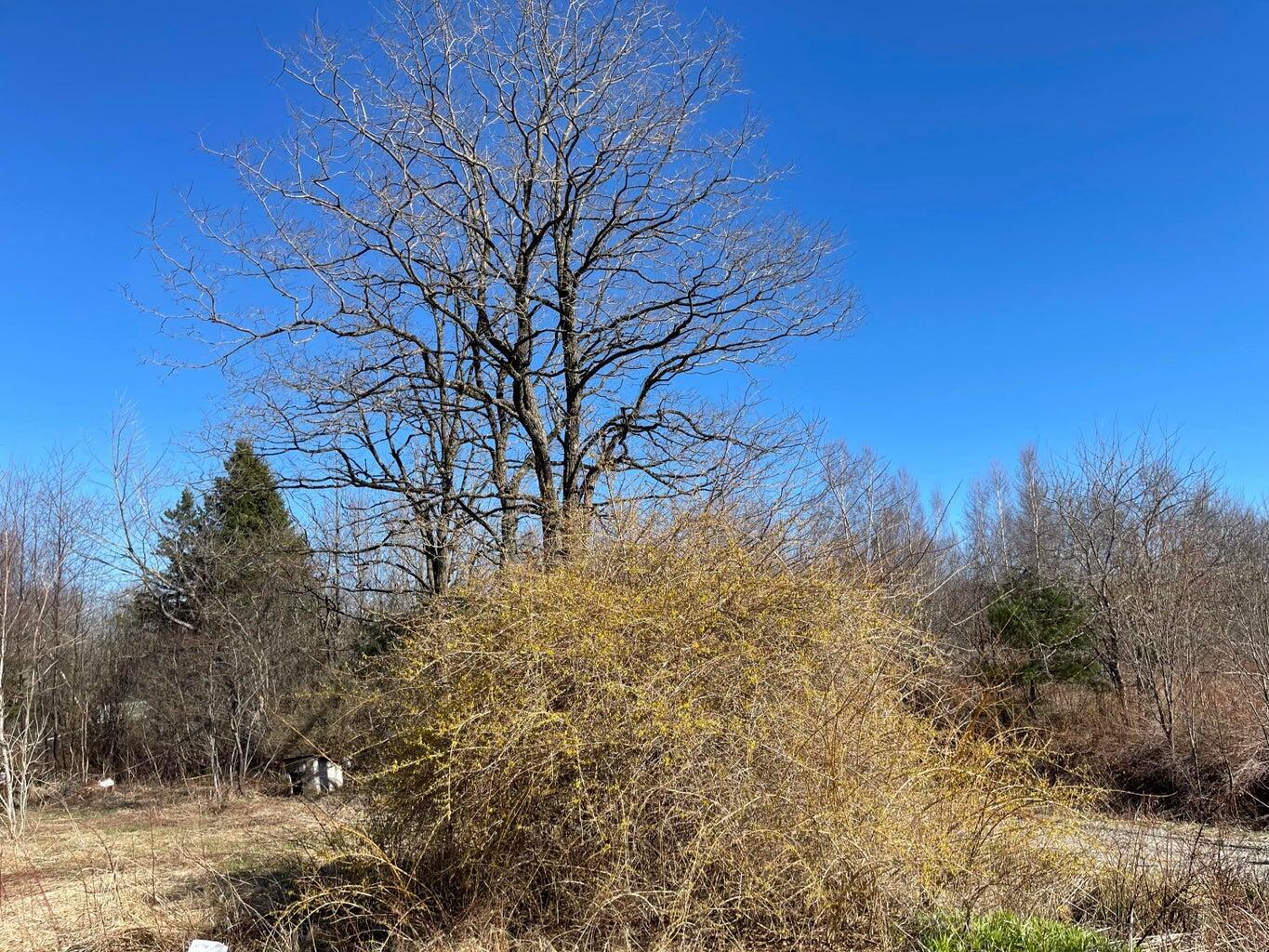 348 Marion Sta Road Dennysville, ME 04628 - Photo 5 of 16 5