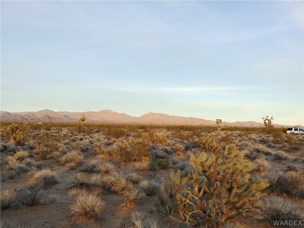 3487 South Custer Road Yucca, AZ 86438 - Photo 1 of 18 Gallery Image 1