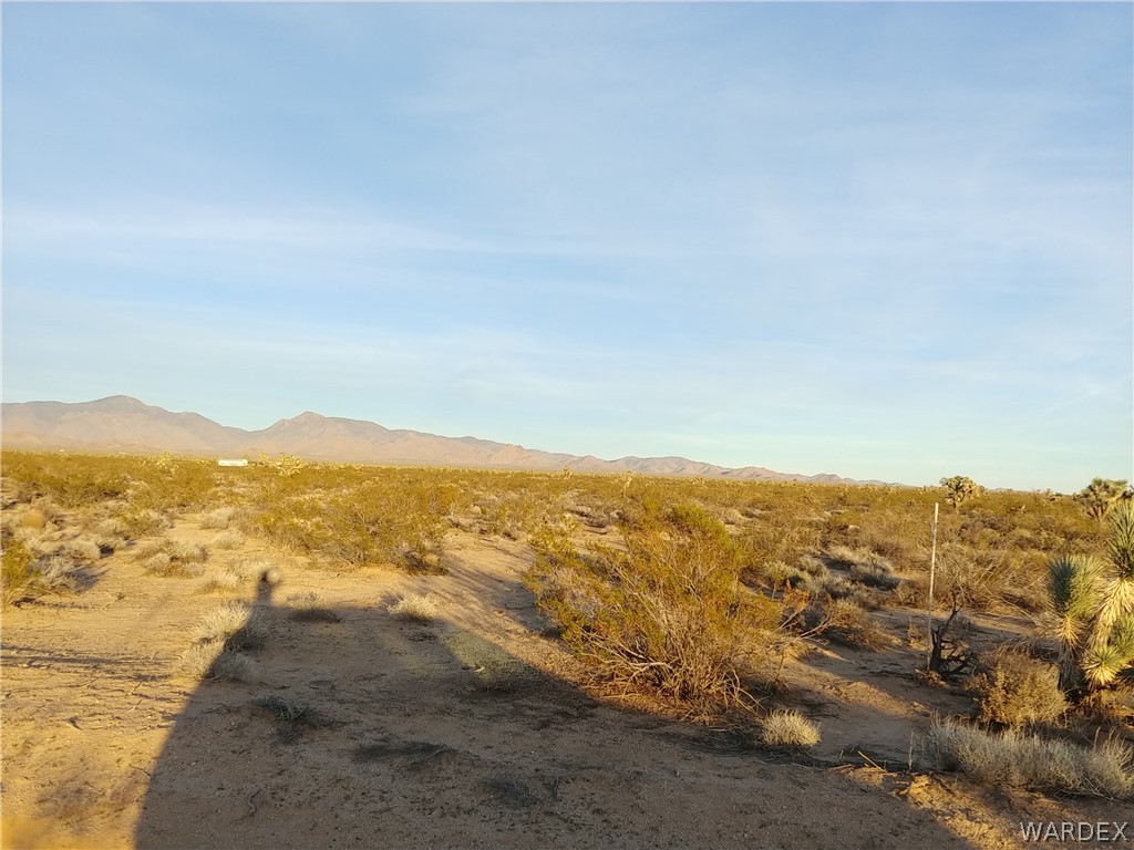 3487 South Custer Road Yucca, AZ 86438 - Photo 11 of 18 Gallery Image 11