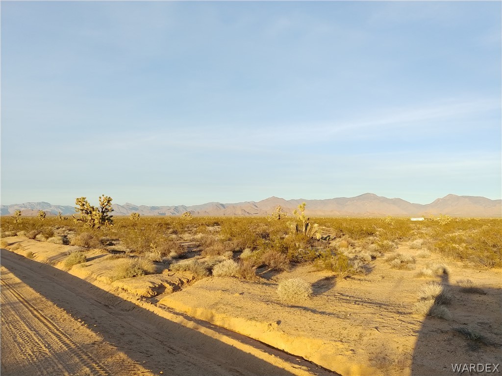 3487 South Custer Road Yucca, AZ 86438 - Photo 13 of 18 Gallery Image 13