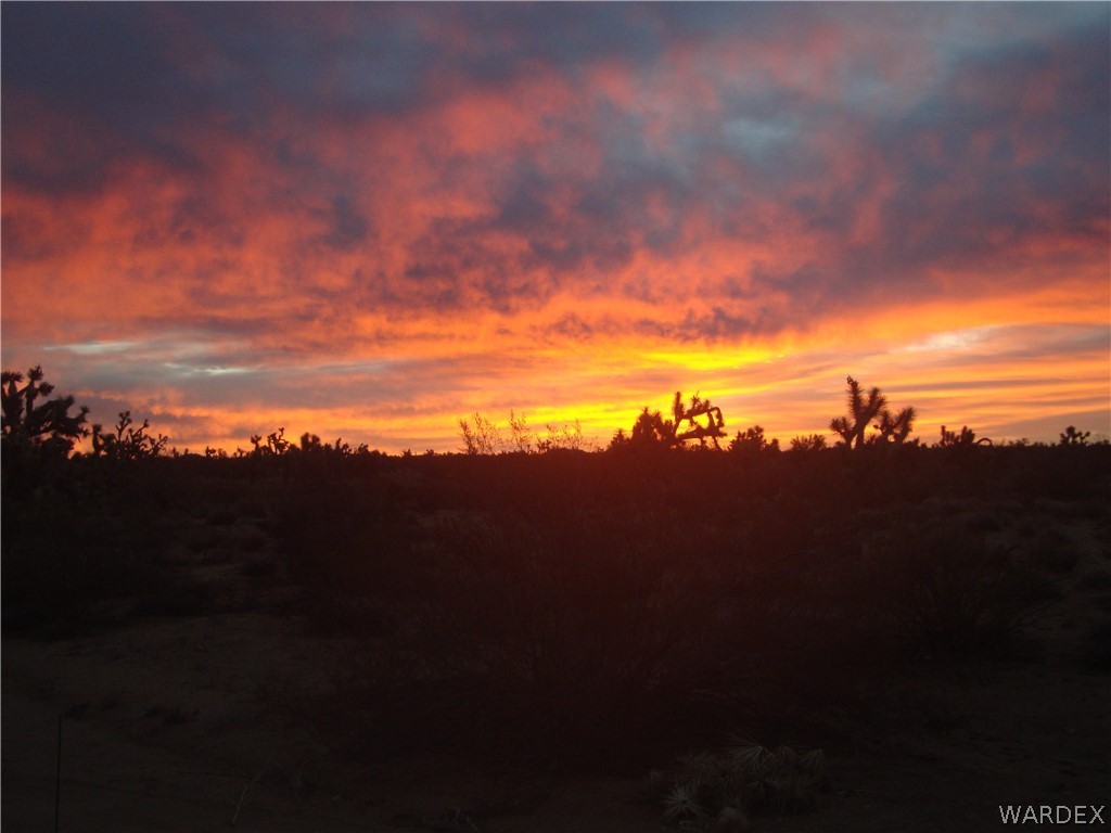 3487 South Custer Road Yucca, AZ 86438 - Photo 2 of 18 Gallery Image 2