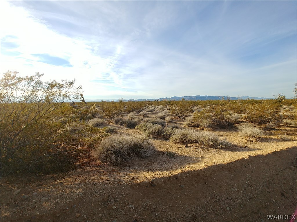3487 South Custer Road Yucca, AZ 86438 - Photo 4 of 18 Gallery Image 4
