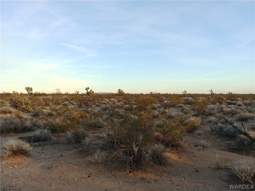 3487 South Custer Road Yucca, AZ 86438 - Photo 5 of 18 Gallery Image 5