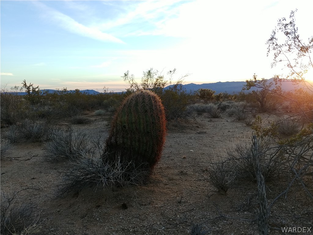 3487 South Custer Road Yucca, AZ 86438 - Photo 9 of 18 Gallery Image 9
