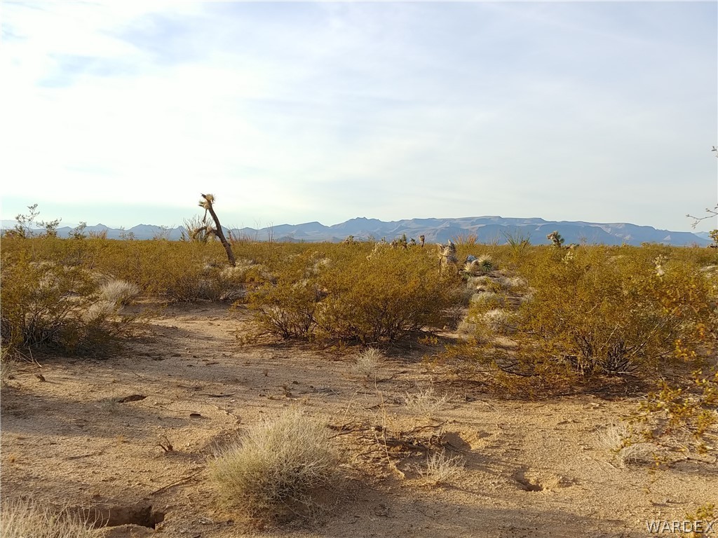 3487 South Custer Road Yucca, AZ 86438 - Photo 10 of 18 Gallery Image 10