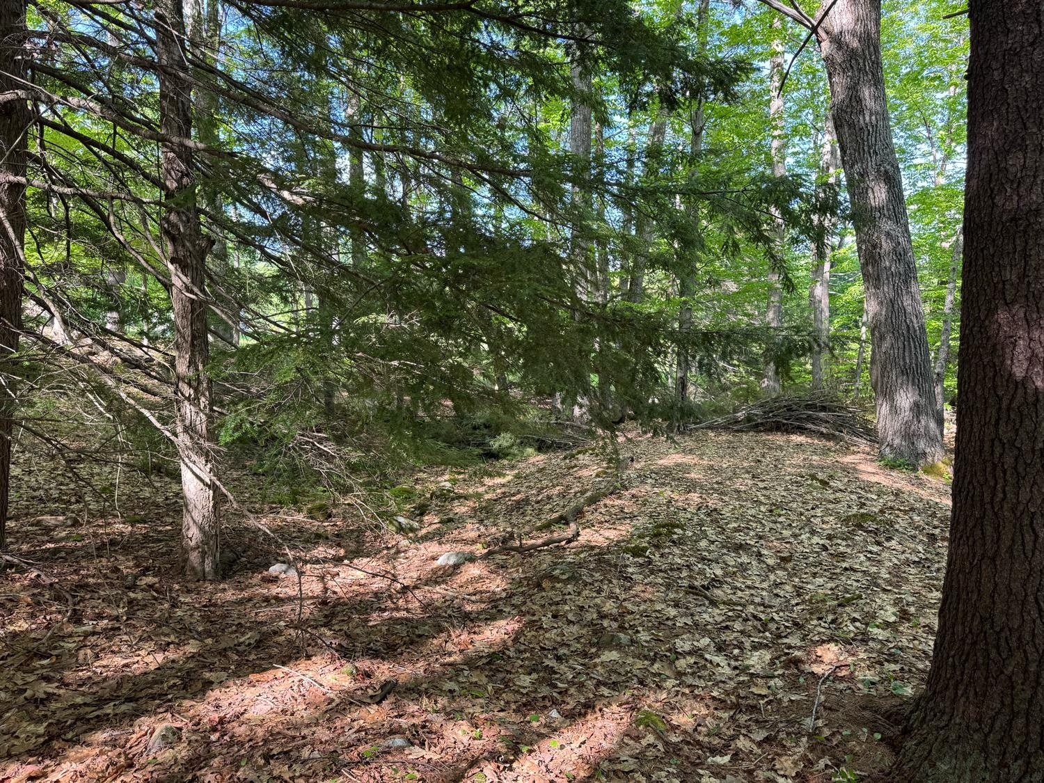 0 Peaked Hill Road Bristol, NH 03222 - Photo 8 of 33