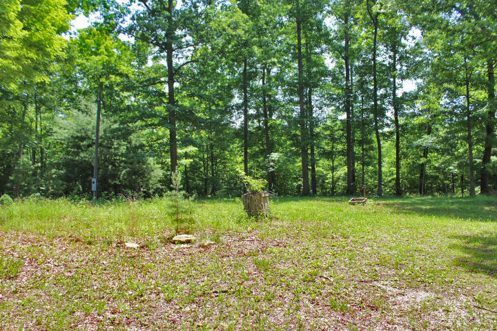 1558 Sandy Gap Road Somerset, KY 42501 - Photo 12 of 67 IMG_8682