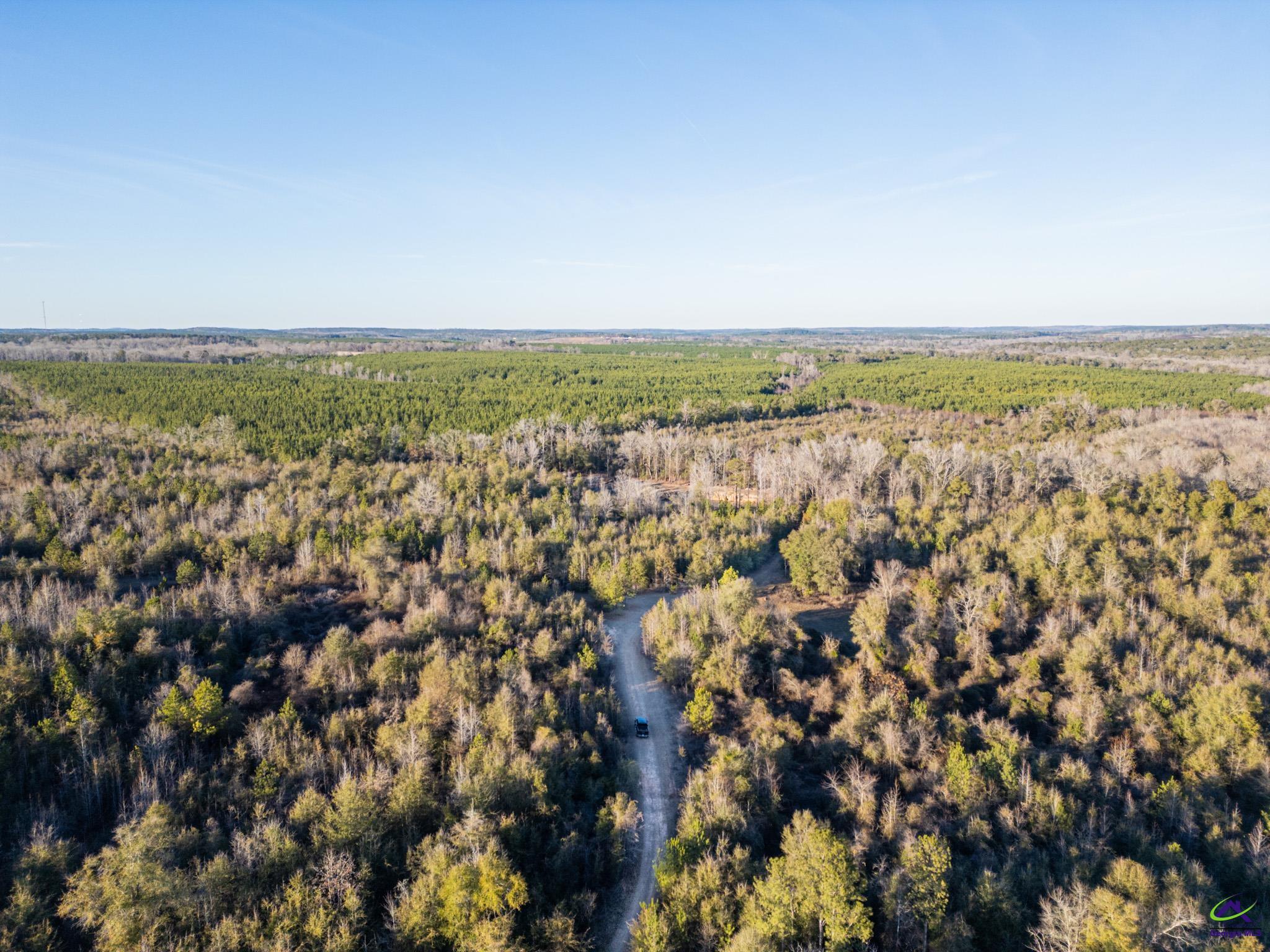 9036 Bullard Road Dry Branch, GA 31020 - Photo 60 of 72