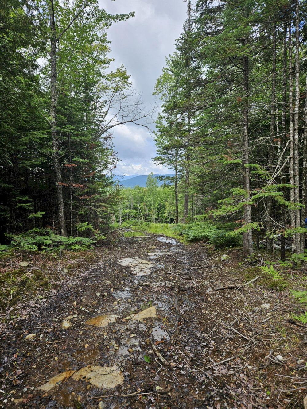 M10-l12-2 Ledge Road Embden, ME 04958 - Photo 1 of 14 1_result