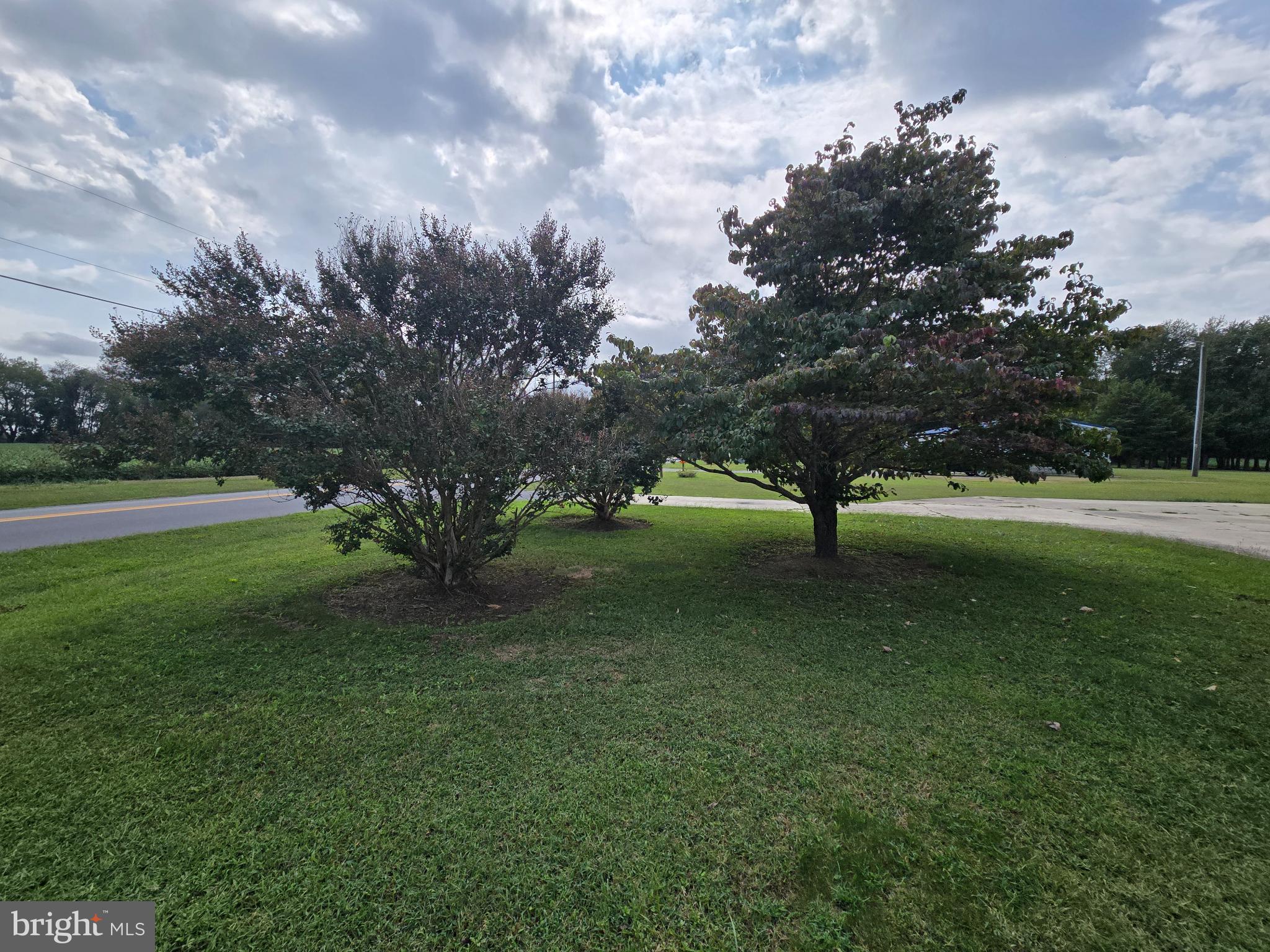 8806 Greentop Road Lincoln, DE 19960 - Photo 35 of 35 a view of outdoor space with green field and trees