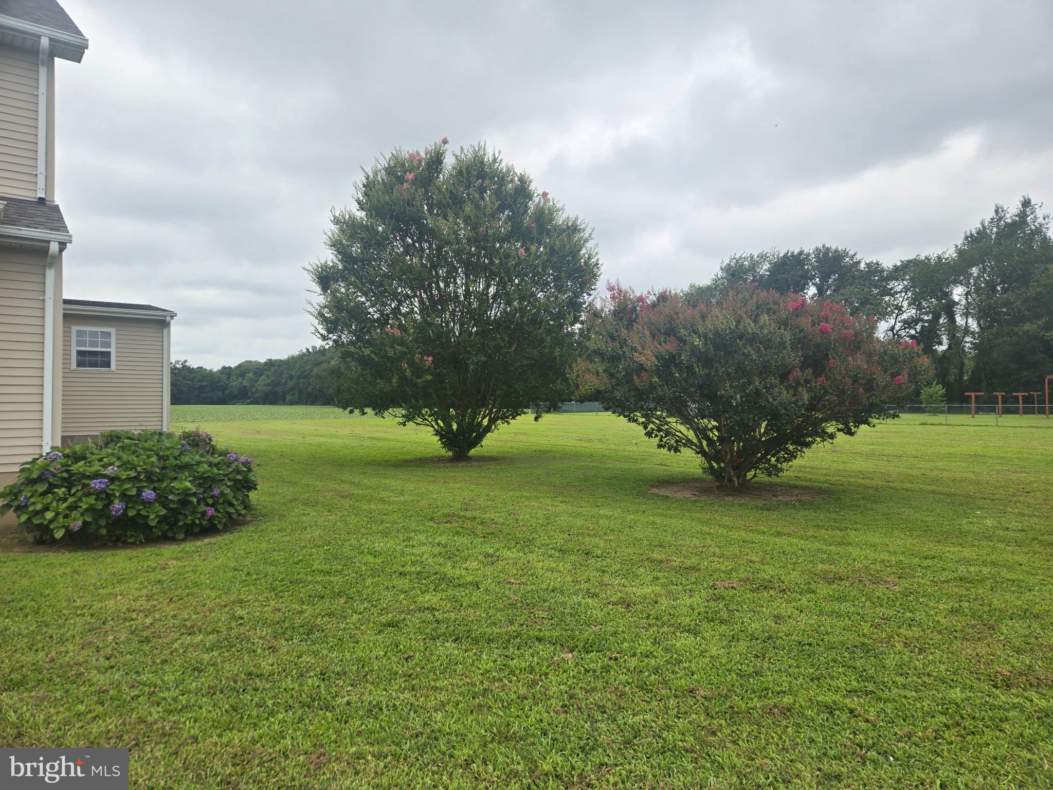 8806 Greentop Road Lincoln, DE 19960 - Photo 5 of 35 a view of a green field with wooden fence