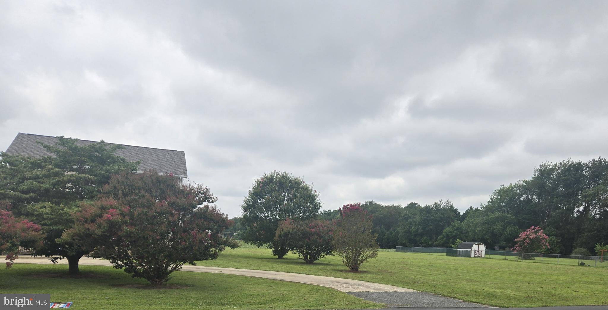 8806 Greentop Road Lincoln, DE 19960 - Photo 6 of 35 a view of a big yard with large trees