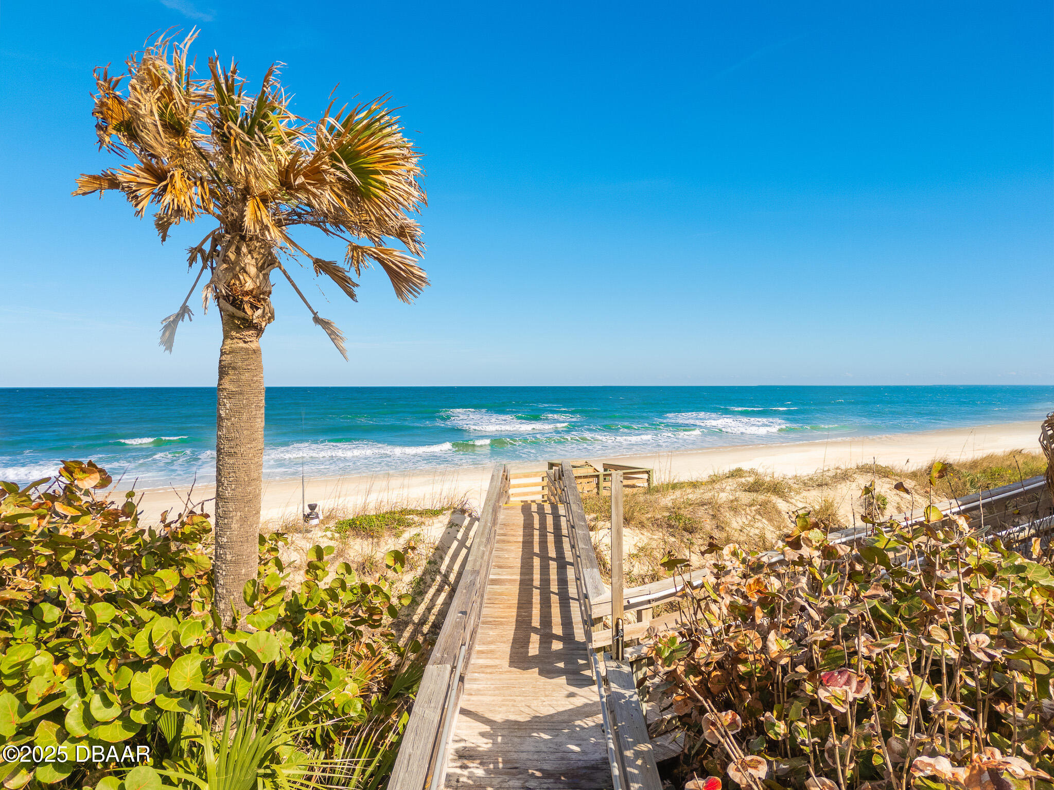 4650 Links Village Drive, Unit C303 Ponce Inlet, FL 32127 - Photo 64 of 67 Beach Club- Beach Access- Paradise!