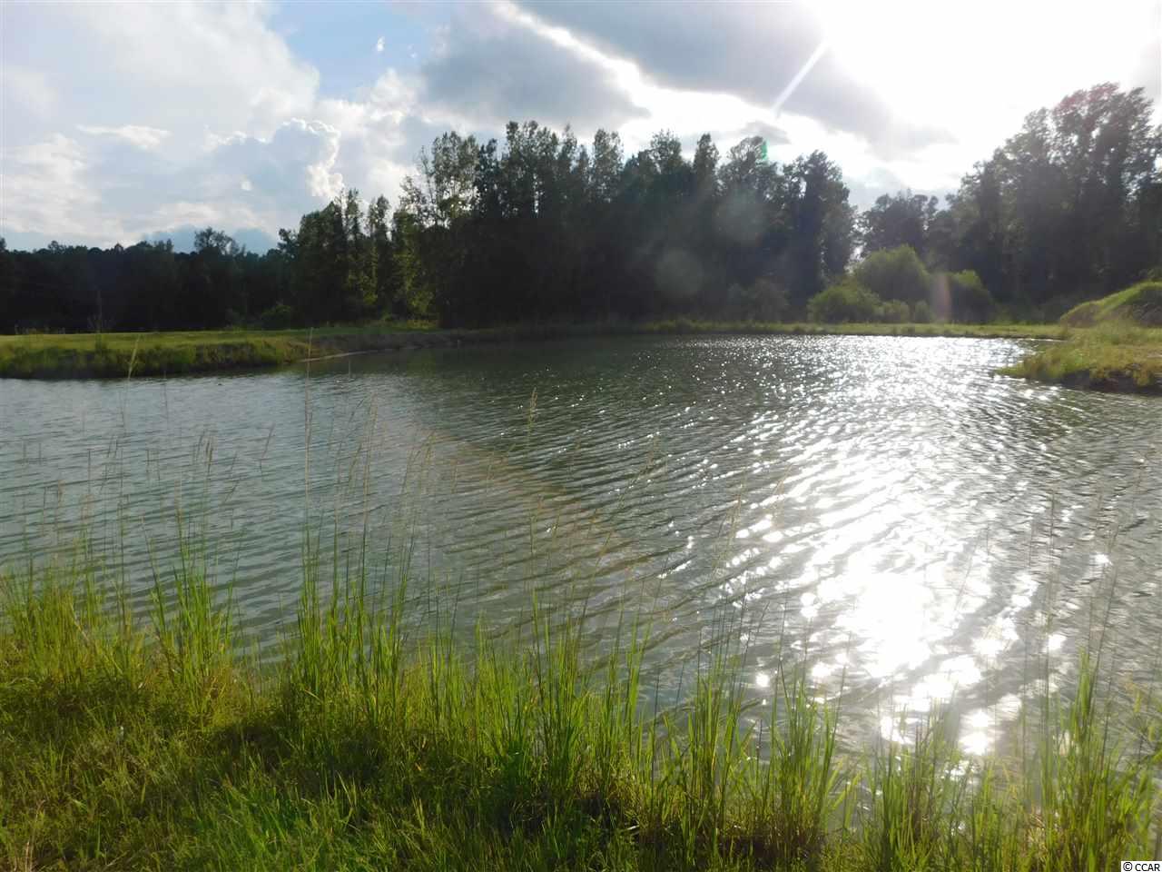 4000 Fairlane Road Loris, SC 29569 - Photo 11 of 13 Gallery Image 11