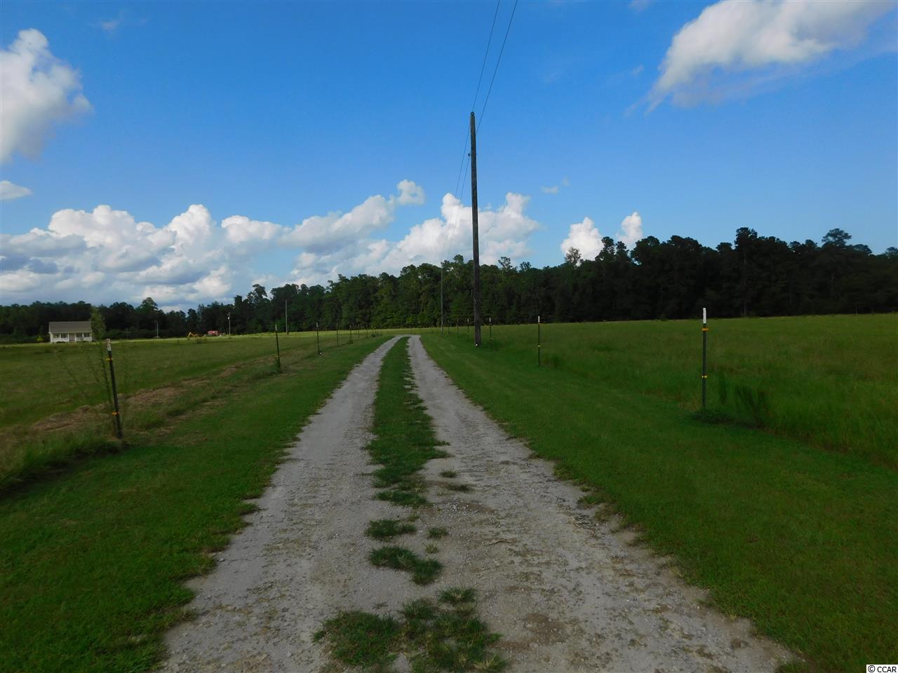 4000 Fairlane Road Loris, SC 29569 - Photo 13 of 13 Gallery Image 13