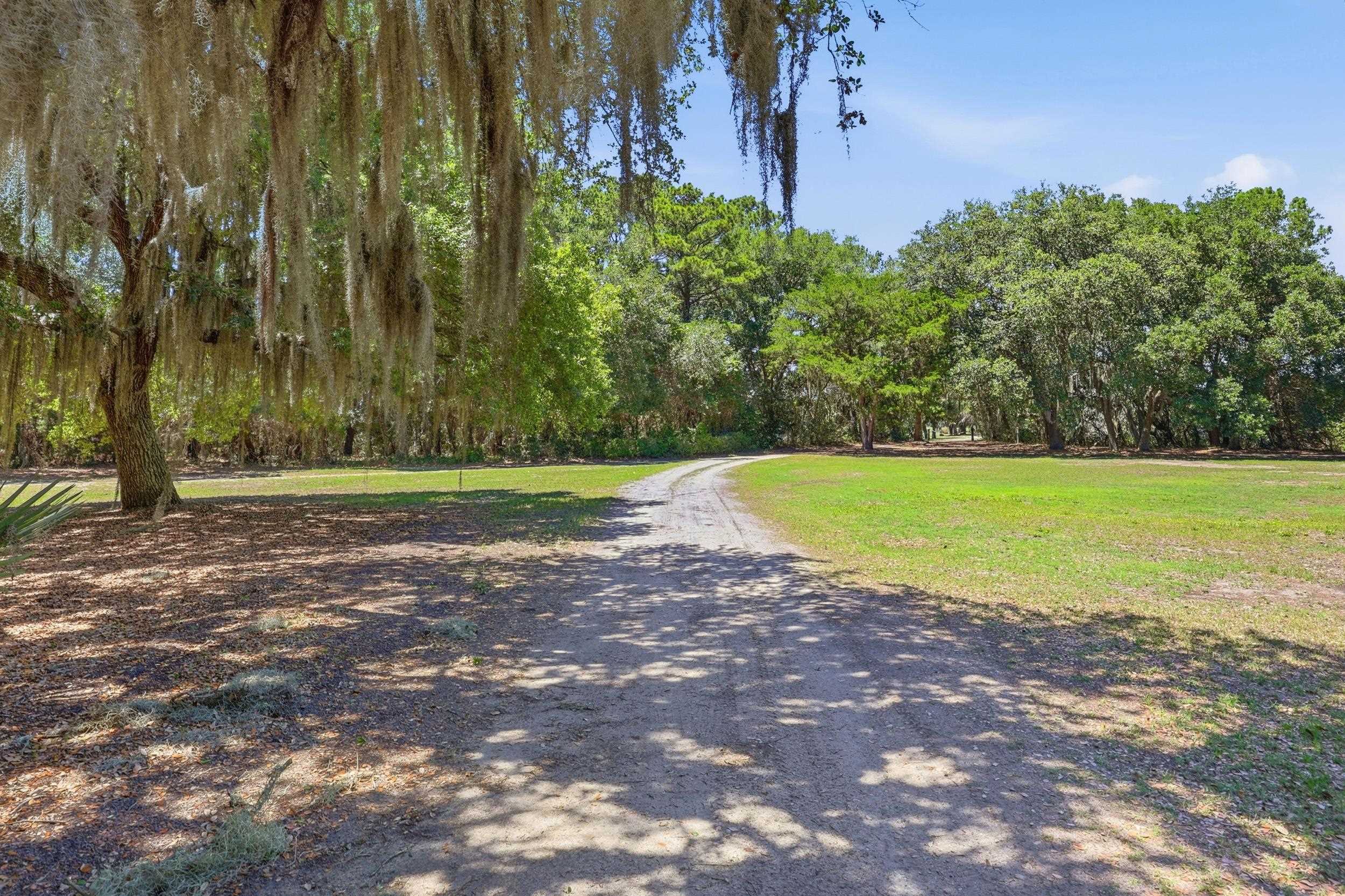 Lot 4 Josie Way Georgetown, SC 29440 - Photo 14 of 17