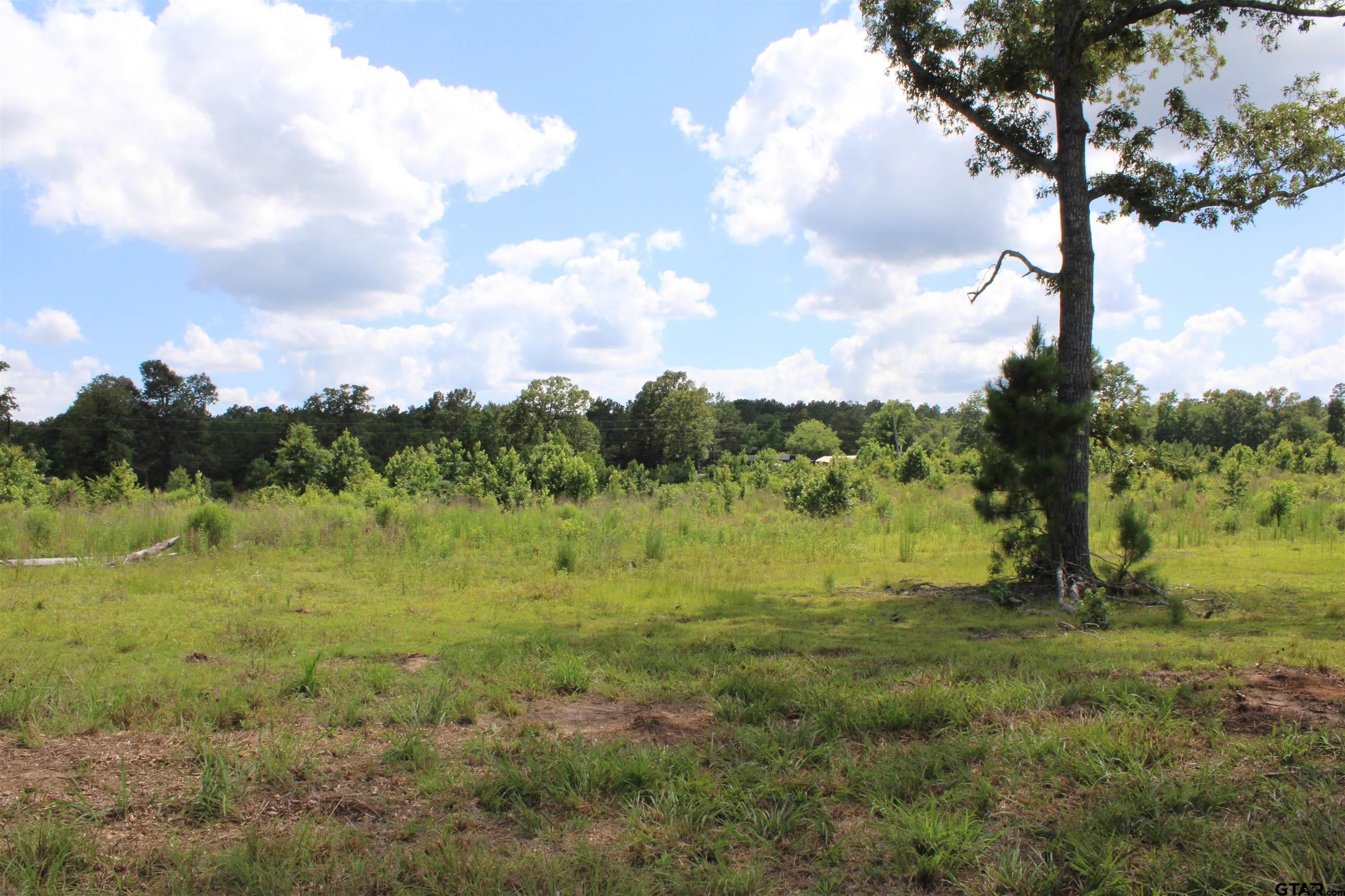 1110 - Tract 4 Rusk Tx 75785 Rusk, TX 75785 - Photo 5 of 13