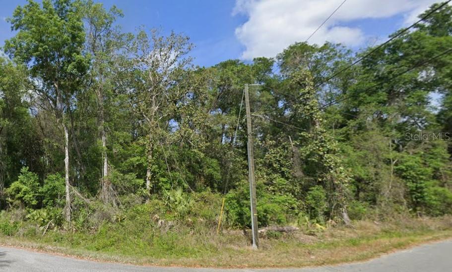 Spruce Terrace Run Ocala, FL 34472 - Photo 3 of 6 a view of a yard