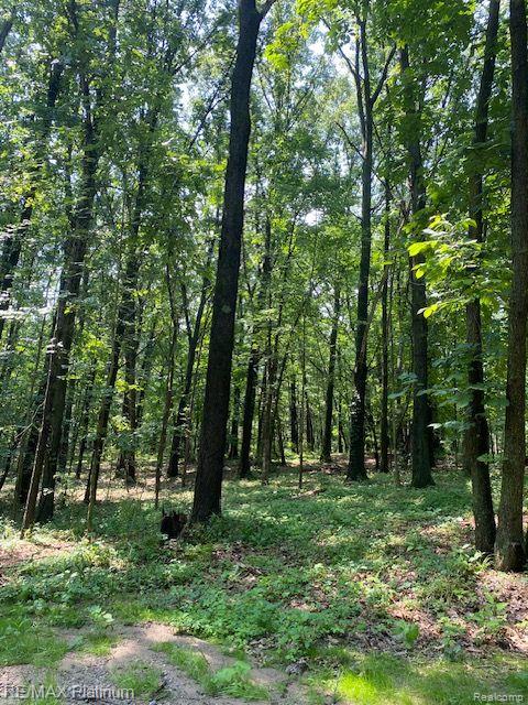 7 Sleaford-parcel 7 - 2 Acres Road Howell, MI 48843 - Photo 37 of 45