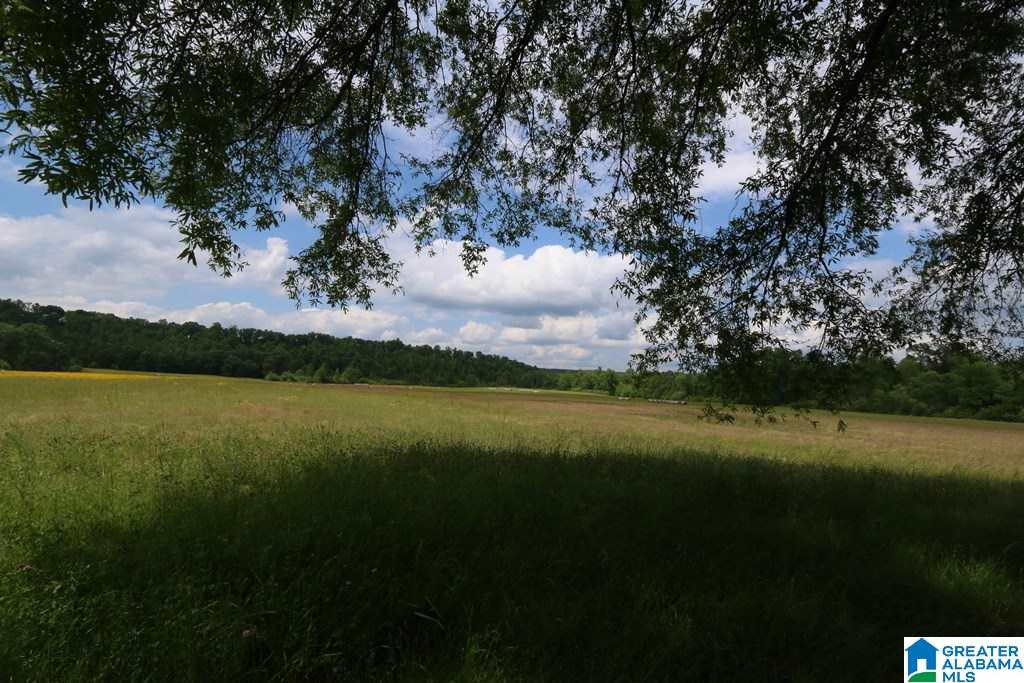 Wolf Creek Road, Unit 79 25 Pell City, AL 35128 - Photo 2 of 14