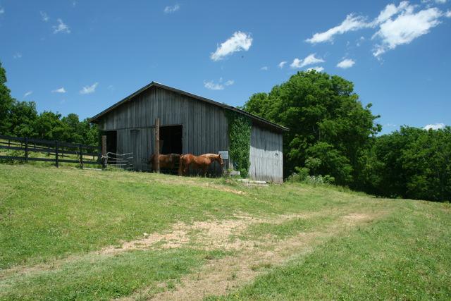 3689 Crafton Foster Road Mount Pleasant, TN 38474 - Photo 12 of 20 Gallery Image 12