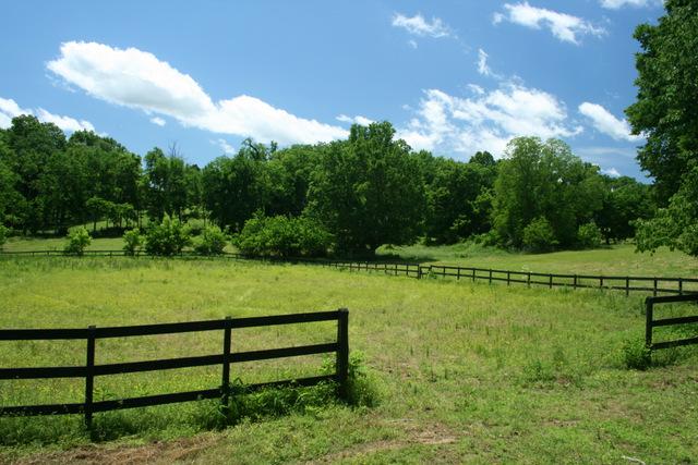 3689 Crafton Foster Road Mount Pleasant, TN 38474 - Photo 13 of 20 Gallery Image 13