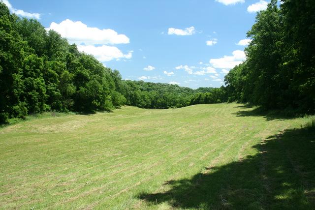 3689 Crafton Foster Road Mount Pleasant, TN 38474 - Photo 14 of 20 Gallery Image 14