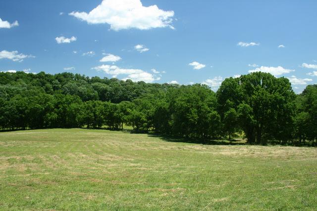3689 Crafton Foster Road Mount Pleasant, TN 38474 - Photo 16 of 20 Gallery Image 16