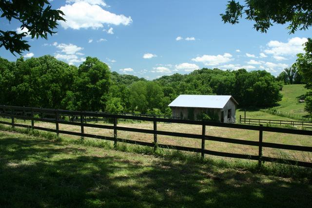 3689 Crafton Foster Road Mount Pleasant, TN 38474 - Photo 17 of 20 Gallery Image 17