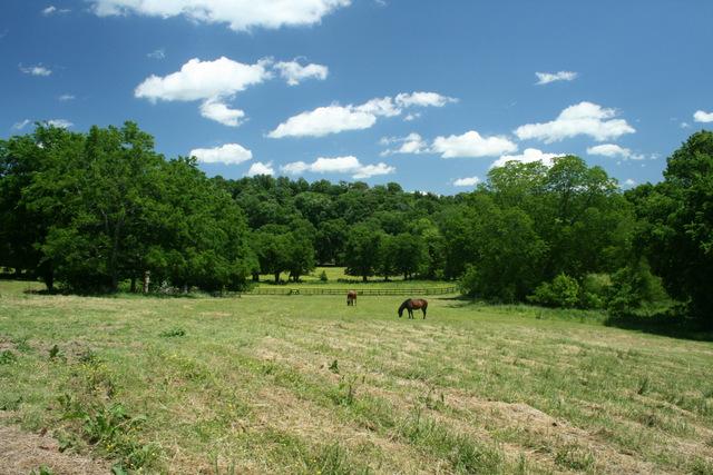 3689 Crafton Foster Road Mount Pleasant, TN 38474 - Photo 19 of 20 Gallery Image 19