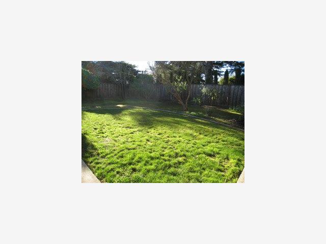 855 Arbor Road Menlo Park, CA 94025 - Photo 5 of 5 Gallery Image 5