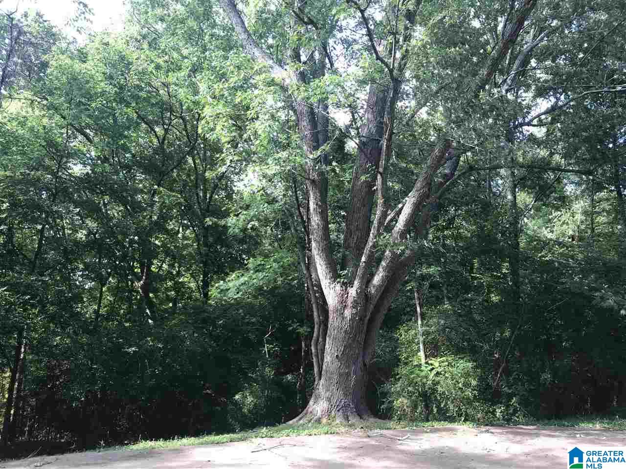 548 Sunhill Road Northwest Birmingham, AL 35215 - Photo 20 of 39