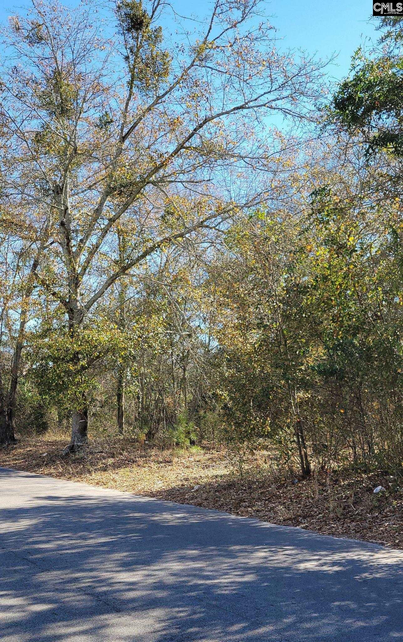 0 Barnwell Highway Denmark, SC 29042 - Photo 2 of 2