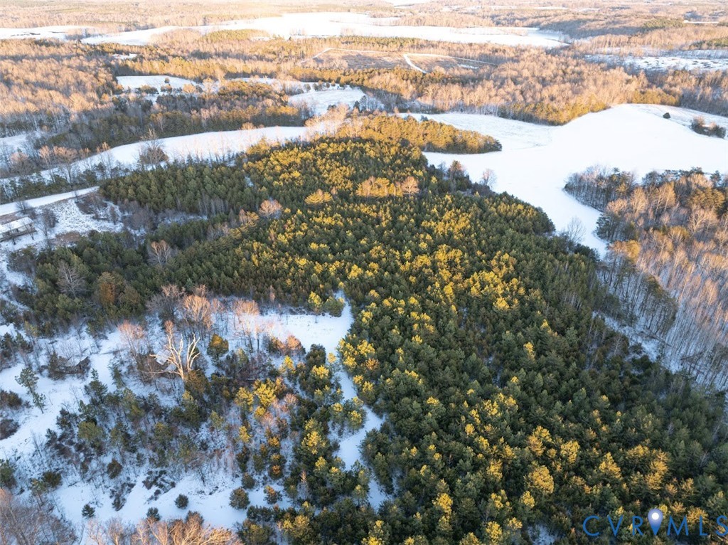 0 Bakers Cir Road Cullen, VA 23934 - Photo 18 of 25