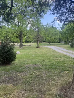 a view of a field with trees in the background