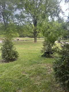 a view of a lake with a yard