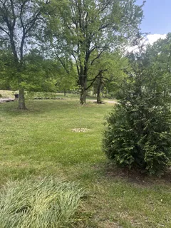a view of outdoor space and yard