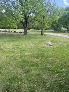 a view of a field with an trees