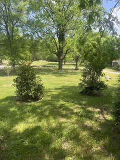 a view of outdoor space with a yard