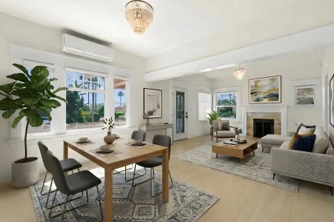 a living room with furniture potted plant and a fireplace