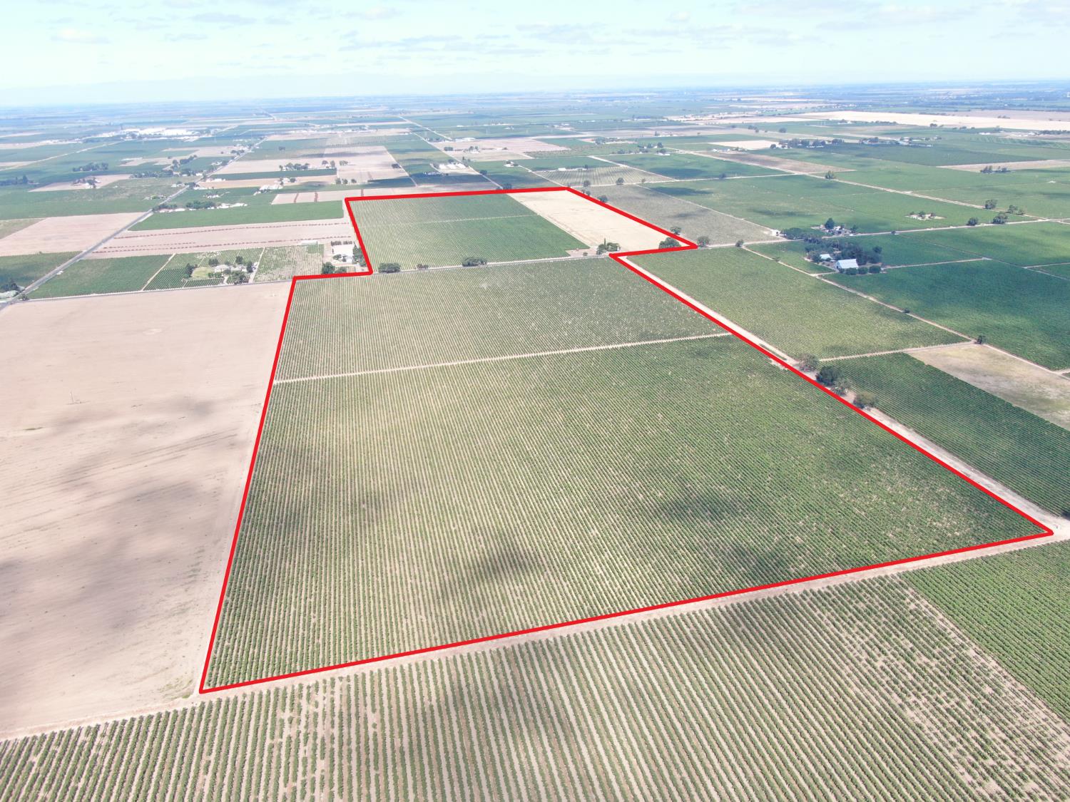 20271 Devries Road Lodi, CA 95242 - Photo 2 of 11