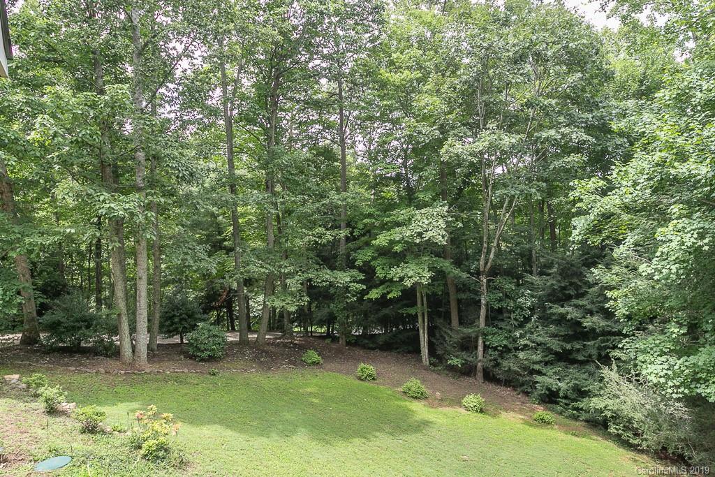 16 Foothills Road Asheville, NC 28804 - Photo 3 of 25 Gallery Image 3