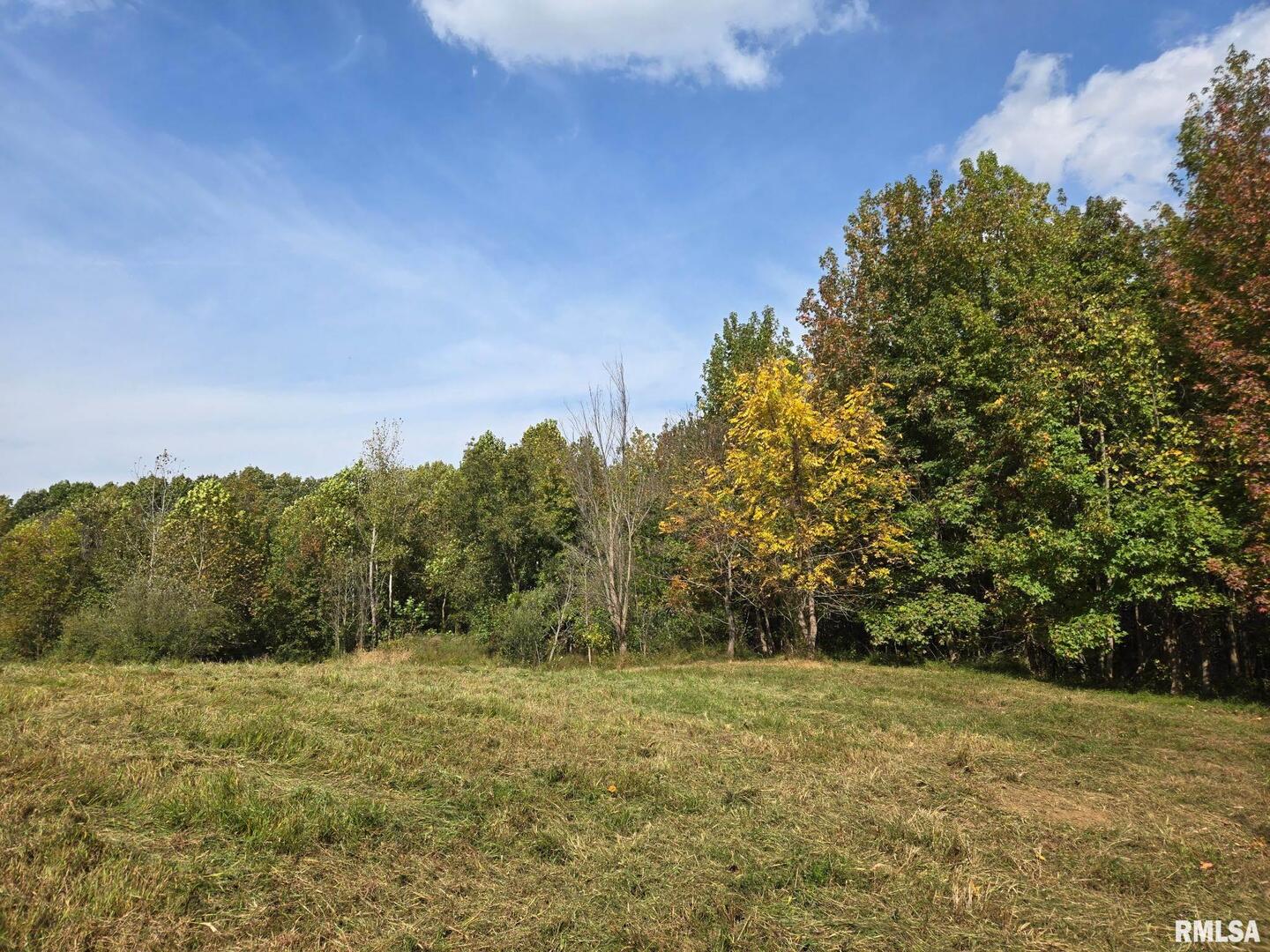 2174 Highway 1 Elizabethtown, IL 62931 - Photo 11 of 14 a view of a yard with trees