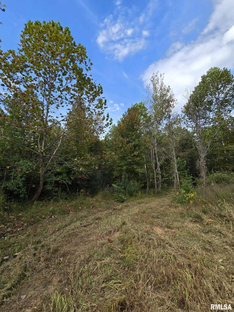 2174 Highway 1 Elizabethtown, IL 62931 - Photo 14 of 14 a view of outdoor space and green space