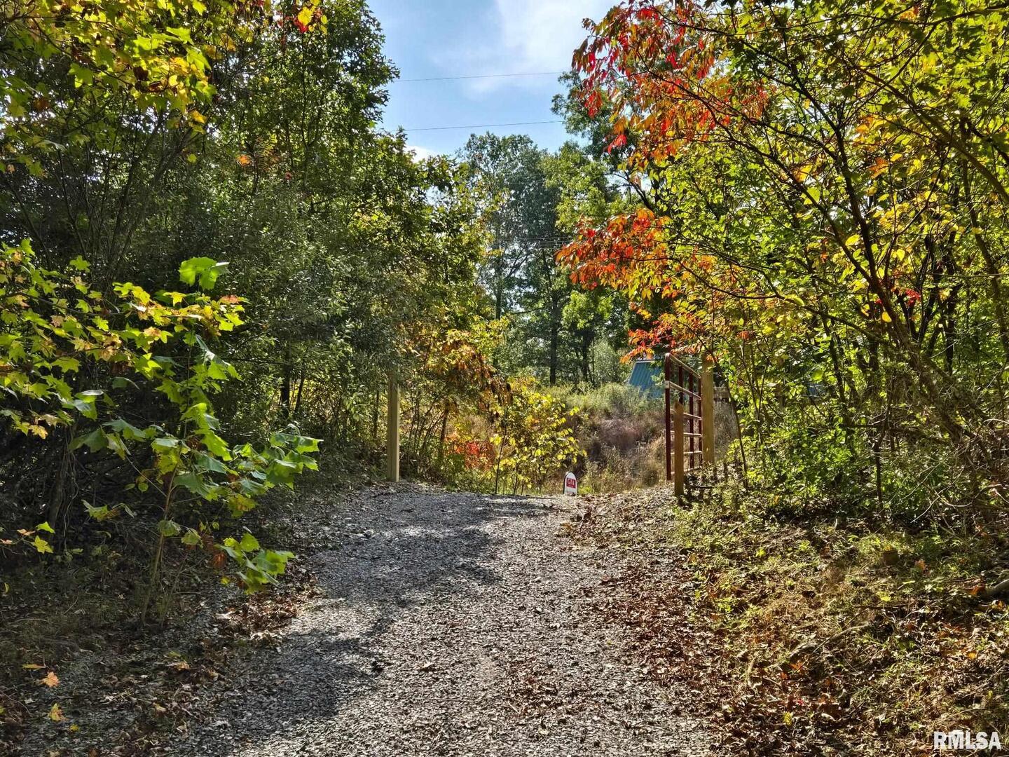 2174 Highway 1 Elizabethtown, IL 62931 - Photo 3 of 14 a backyard of a house with lots of green space