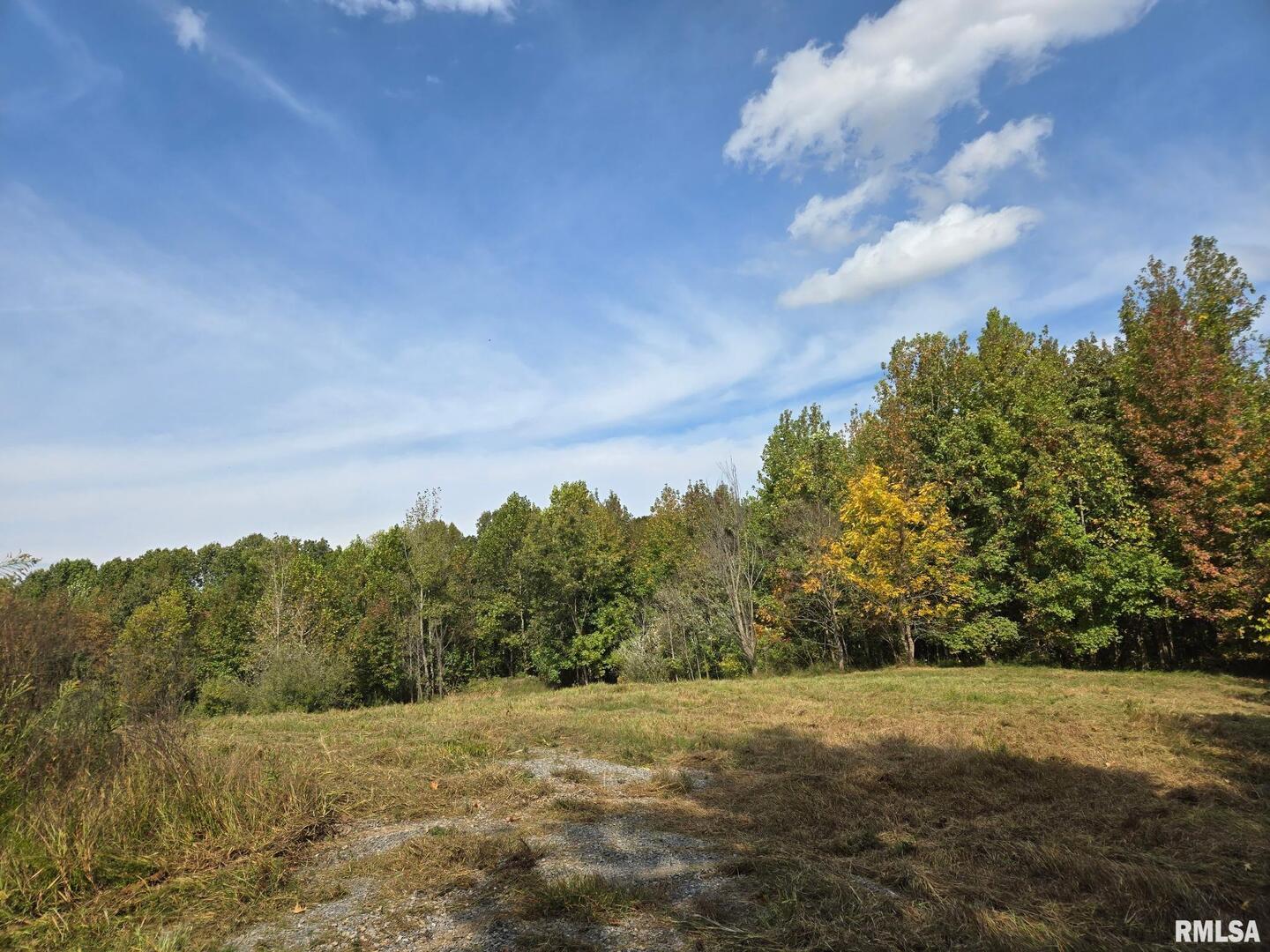2174 Highway 1 Elizabethtown, IL 62931 - Photo 8 of 14 a view of a field with trees in the background